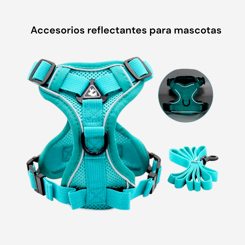 ARNESES