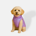 Chaleco morado