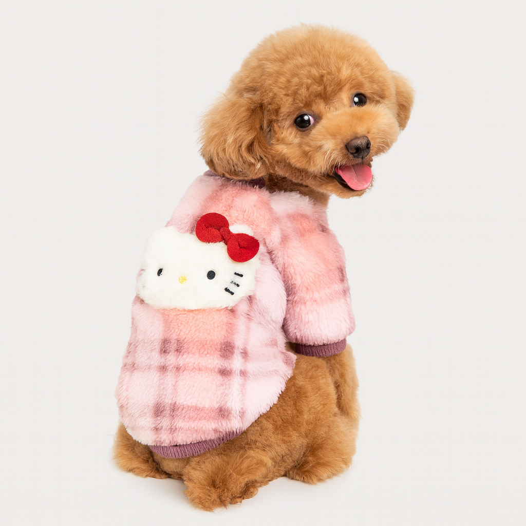 Sweet sweater Kitty
