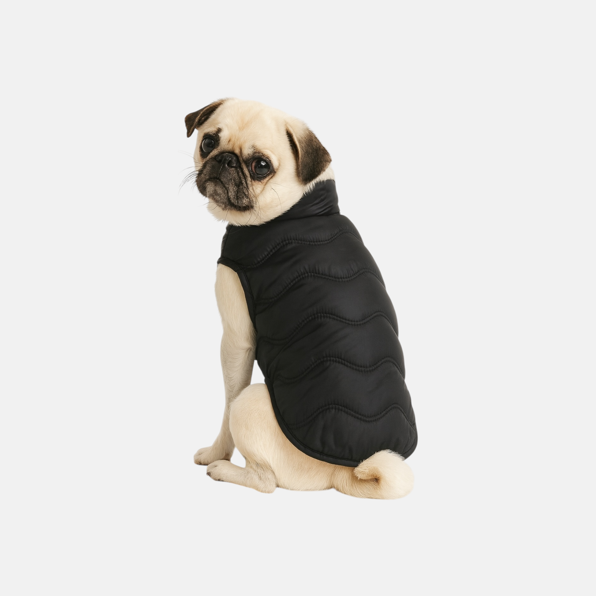 Chaleco black Trendy
