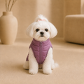 Chaleco Mauve