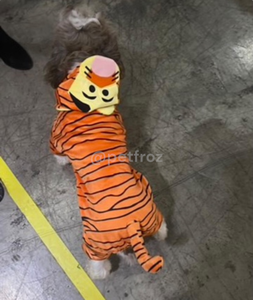 Tigger